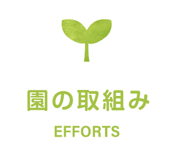 名塩保育園の取り組み
