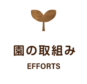 名塩保育園の取り組み