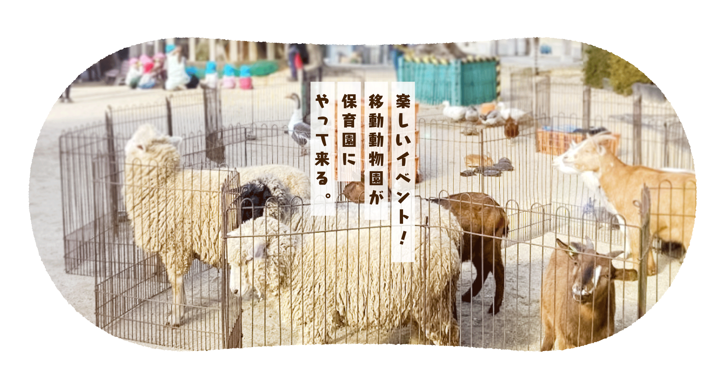 名塩保育園の移動動物園